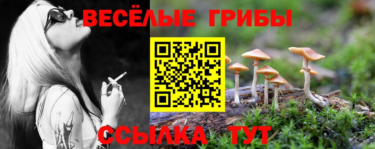 Галлюциногенные грибы мицелий Соликамск